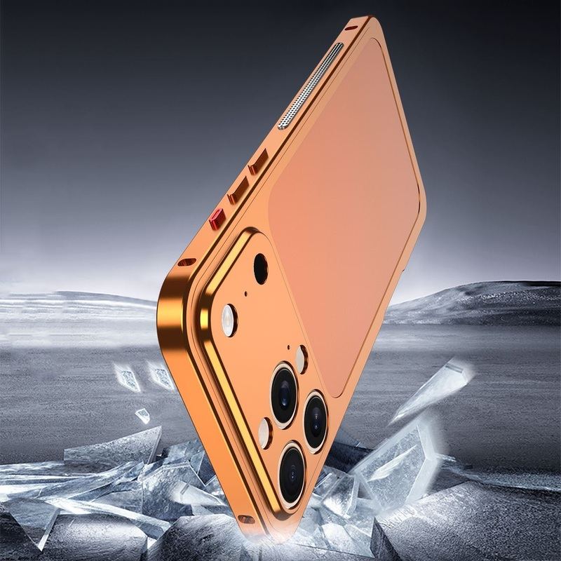 ChubbyArmor ProBack - Ultra-Thin Metal Bumper Case With 17 Pro Style Back Panel
